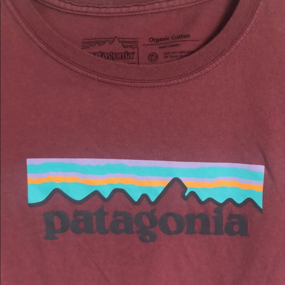 Patagonia T shirt